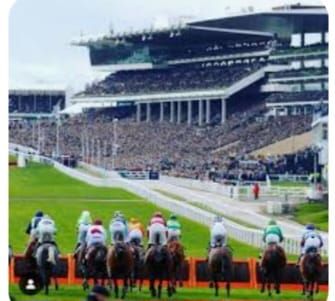 cheltenham races